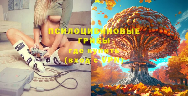 Альфа ПВП Верхнеуральск