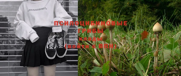 Альфа ПВП Верхнеуральск