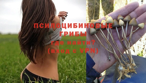 Альфа ПВП Верхнеуральск